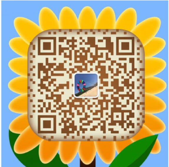 the qr code